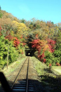 【車窓から見た沿線風景部門】 紅葉真っ盛りのトンネル入り口